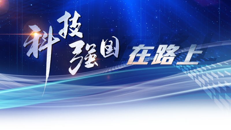 上海企业数字化商业模式：构建未来竞争力的关键**
